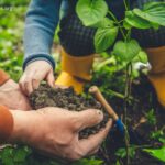 How to Plant a Garden