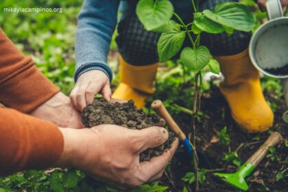 How to Plant a Garden