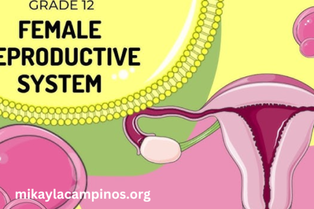 Real5h71ctxf58c= Female Reproductive System