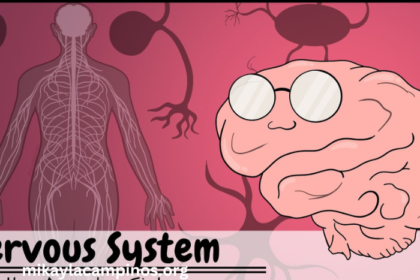 Real8uhnel55qna= Nervous System