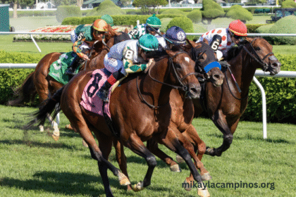 Best Turf Races for First-Time Spectators