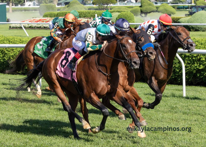 Best Turf Races for First-Time Spectators